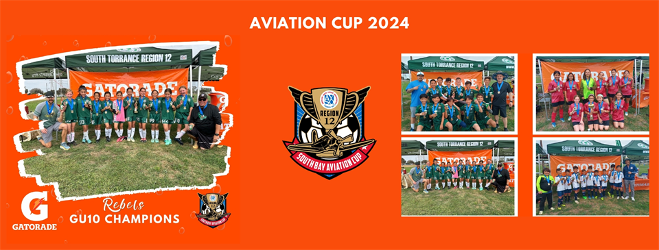AVIATION CUP
